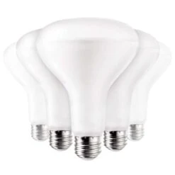 Halco LED Reflector Flood Retrofit (6 Pack) (82170)