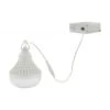 Nuvo Lighting LED Temporary Work Light (86216) -Light Bulbs Shop 86216lg