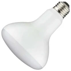 TCP LED Reflector Flood Retrofit (14182)