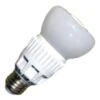 Eiko LED Light Bulb (90082)