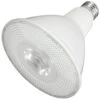 Maxlite LED Flood Light Bulb (94292) 1 Maxlite LED Flood Light Bulb (94292) -Light Bulbs Shop 94285lg