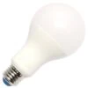 Green Creative LED Light Bulb (98146) -Light Bulbs Shop 98146alg