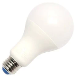 Green Creative LED Light Bulb (98146) -Light Bulbs Shop 98146amd