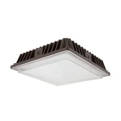 American Lighting LED COB Canopy Ceiling Fixture (99197)