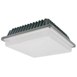 American Lighting Ceiling Light Fixture (99622)